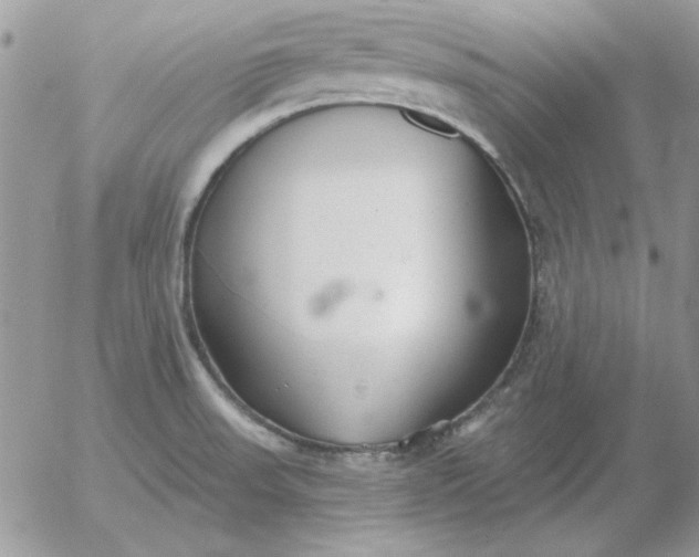 X0000052981523200507221315