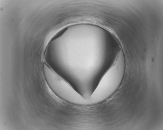 X0000052981524200507221315