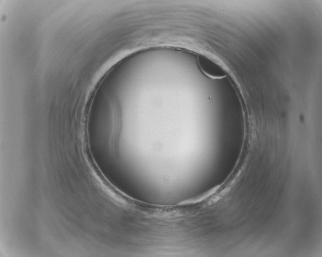 X0000052981525200507221315