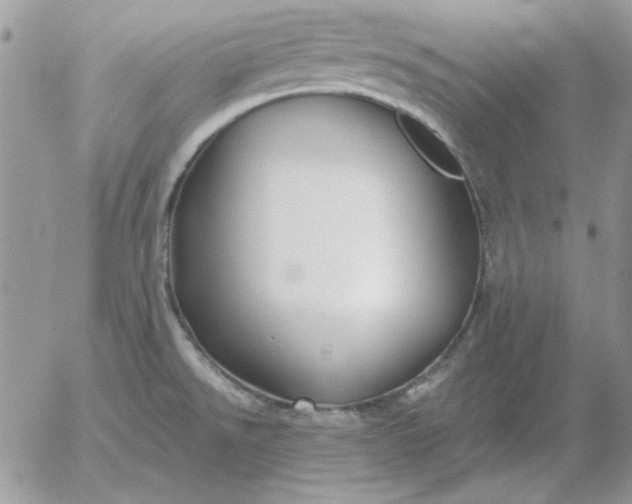 X0000052981526200507221315