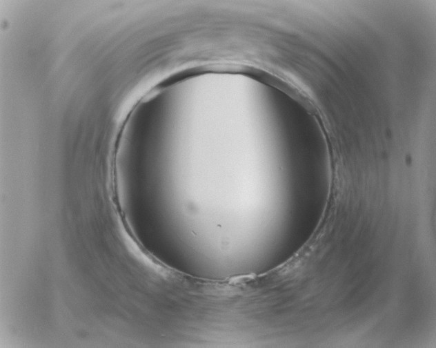 X0000052981528200507221315