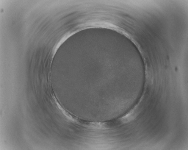 X0000052981529200507221315