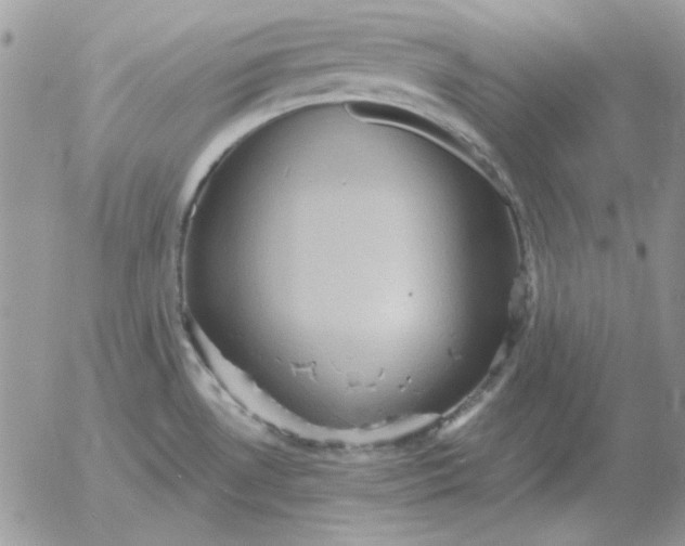 X0000052981530200507221315