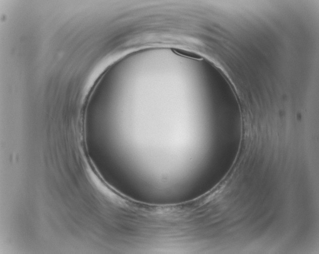 X0000052981531200507221315