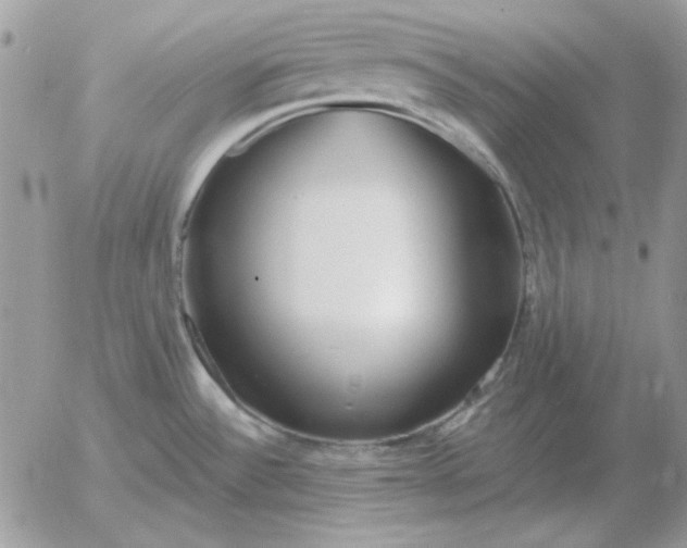 X0000052981532200507221315