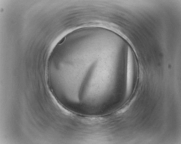 X0000052981533200507221315