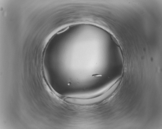 X0000052981534200507221315