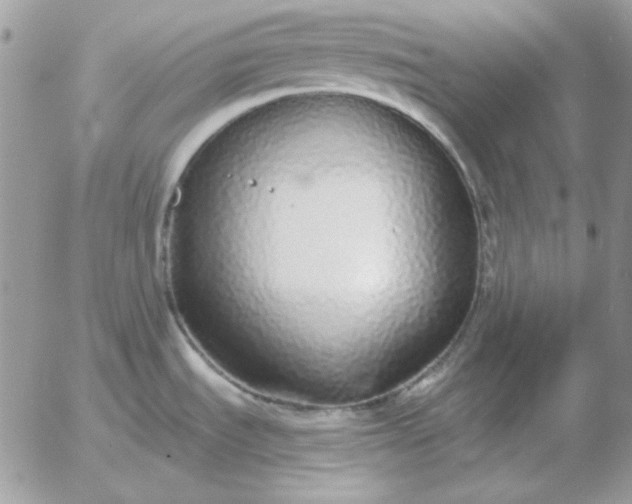 X0000052981535200507221315