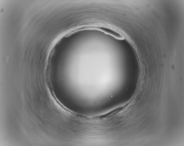 X0000052981536200507221315