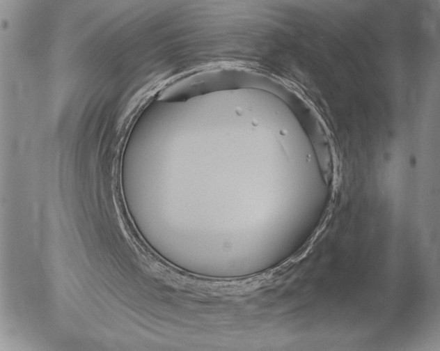 X0000052980001200507291603