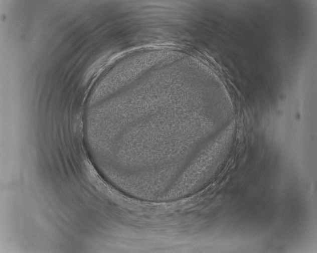 X0000052980002200507291603