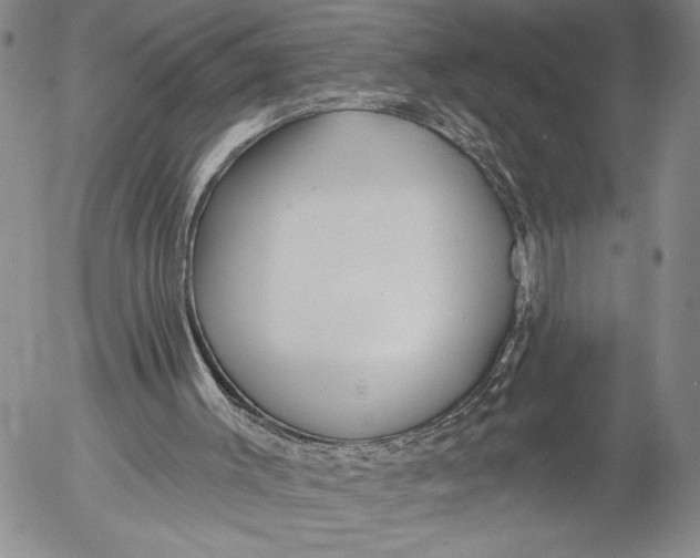 X0000052980003200507291603