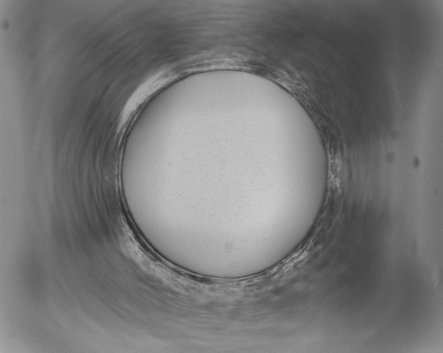 X0000052980004200507291603