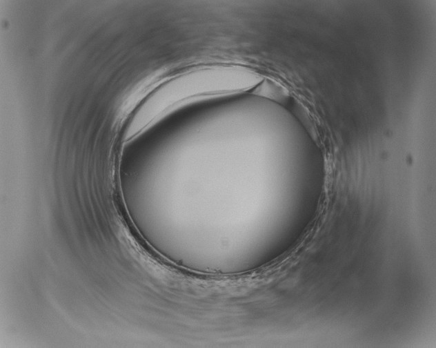 X0000052980005200507291603