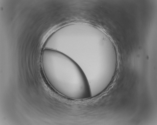 X0000052980007200507291603