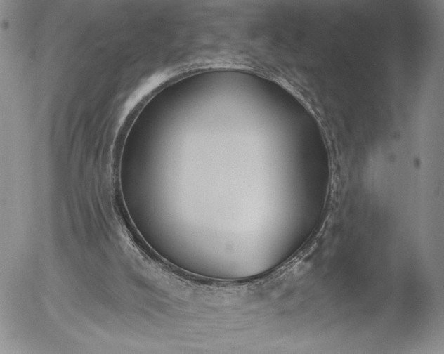 X0000052980008200507291603