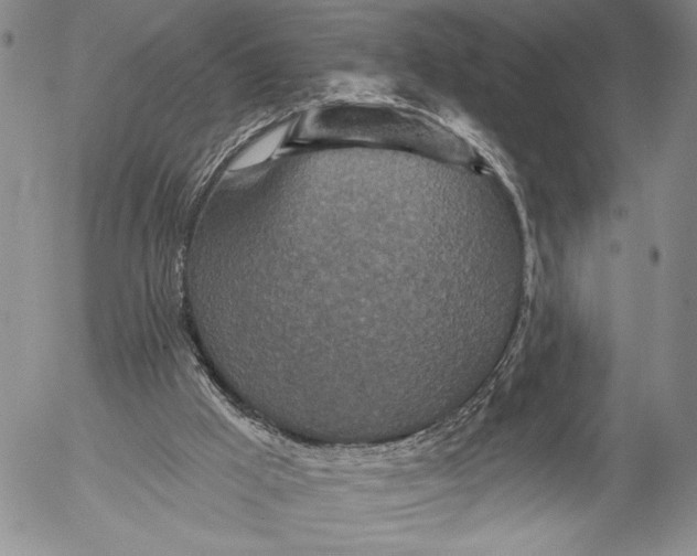 X0000052980009200507291603