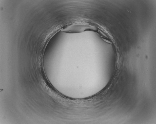 X0000052980010200507291603