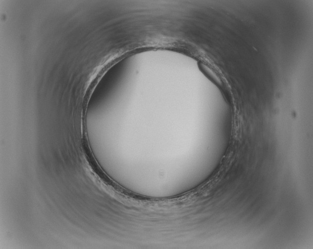 X0000052980011200507291603