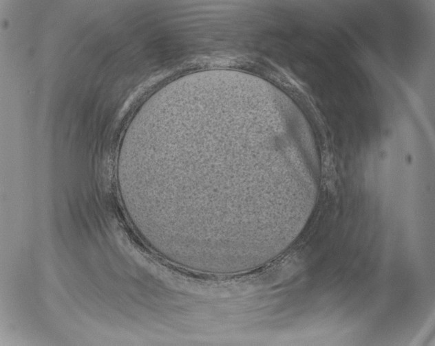 X0000052980012200507291603