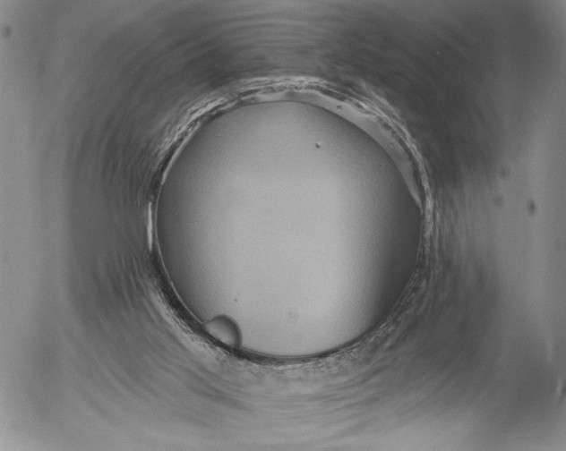 X0000052980013200507291603