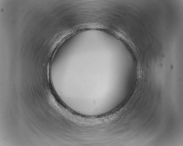 X0000052980014200507291603