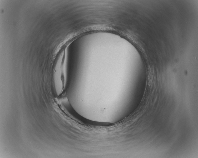 X0000052980015200507291603