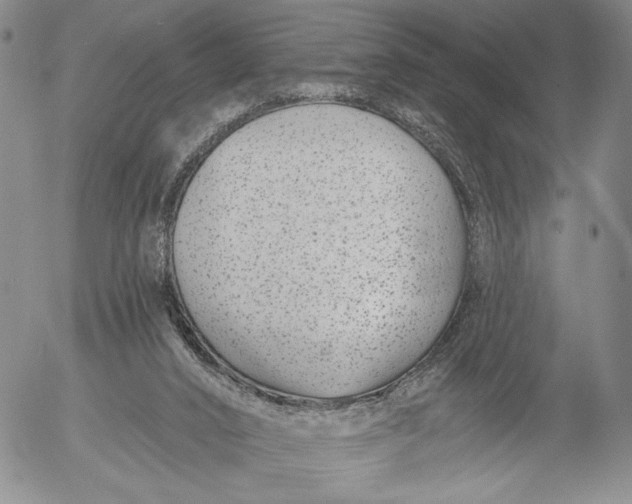 X0000052980016200507291603