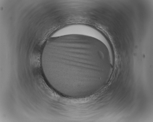 X0000052980017200507291603