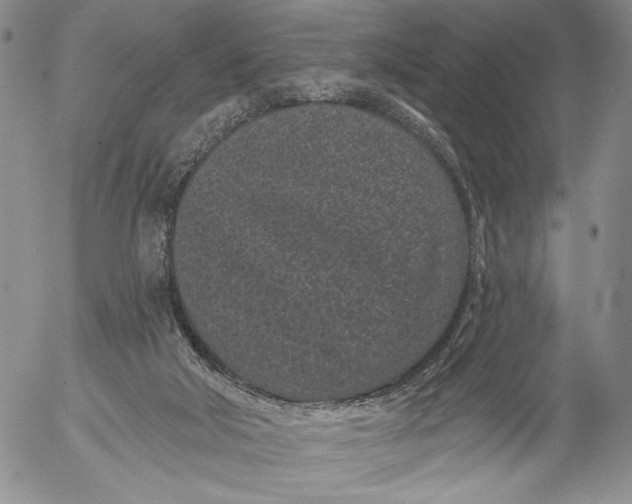 X0000052980018200507291603