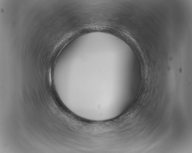 X0000052980020200507291603