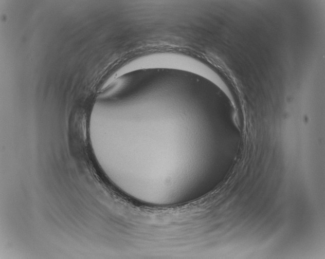 X0000052980021200507291603