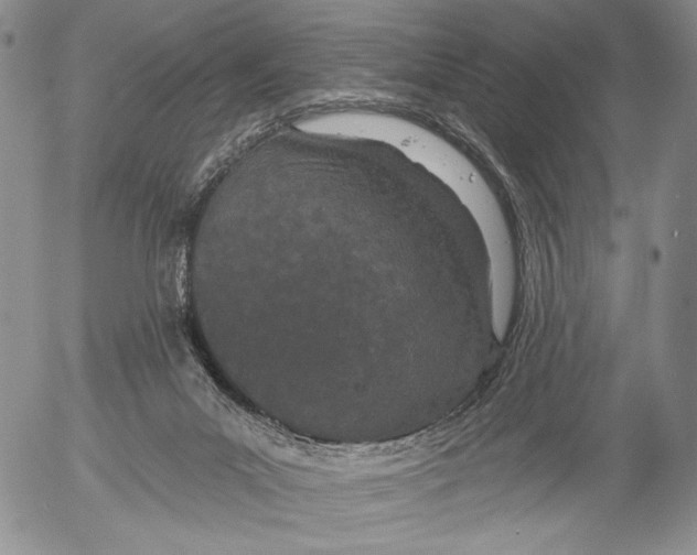 X0000052980023200507291603