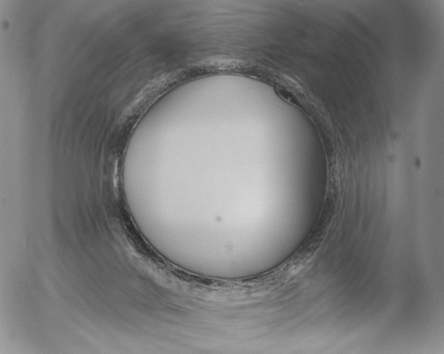 X0000052980024200507291603