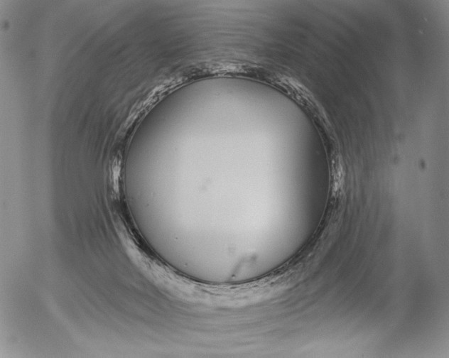 X0000052980026200507291603