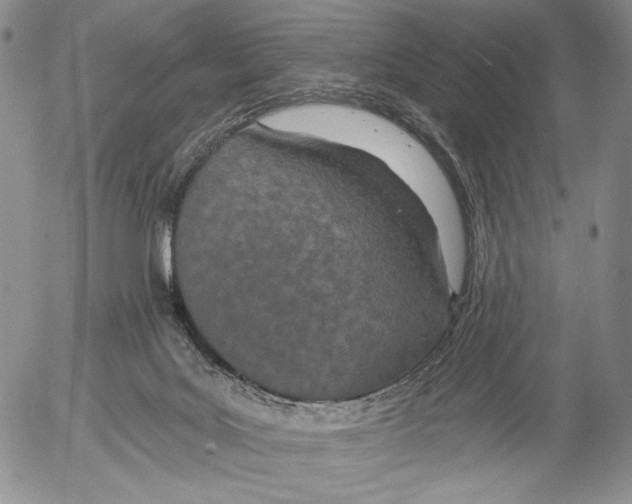 X0000052980027200507291603