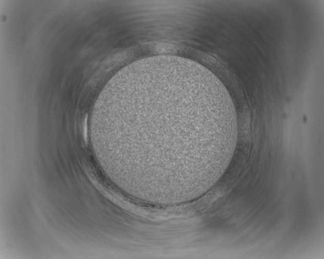 X0000052980028200507291603