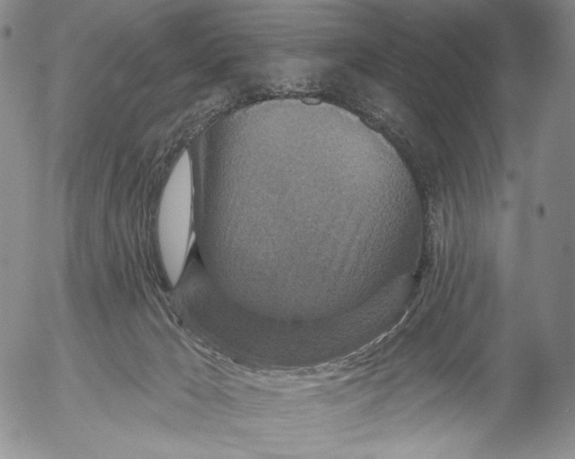 X0000052980029200507291603