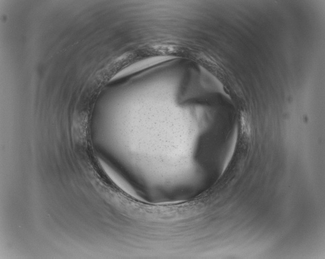 X0000052980030200507291603