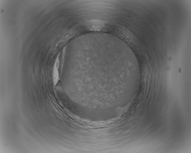 X0000052980031200507291603