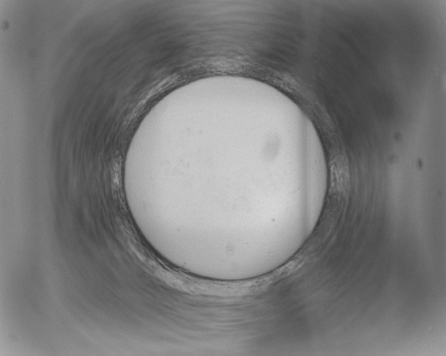 X0000052980032200507291603