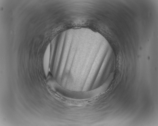 X0000052980033200507291603