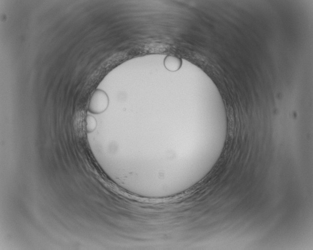 X0000052980034200507291603