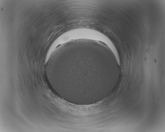 X0000052980035200507291603