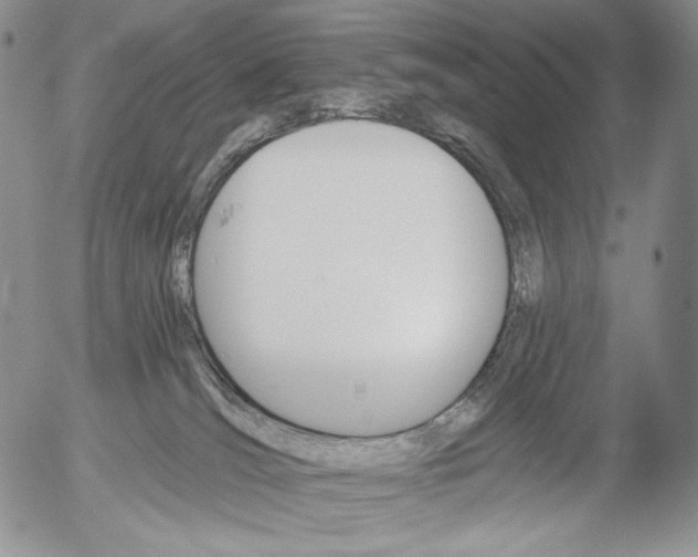 X0000052980036200507291603