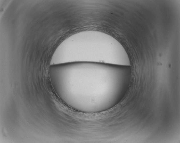 X0000052980037200507291603