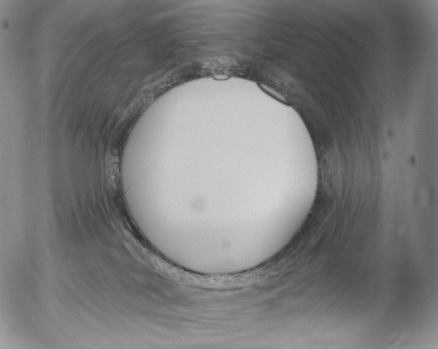 X0000052980038200507291603