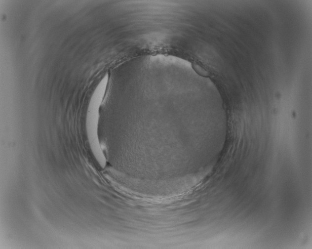 X0000052980039200507291603