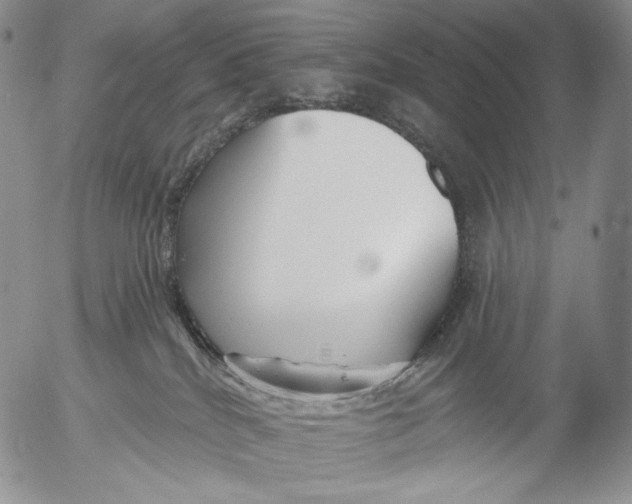 X0000052980040200507291603