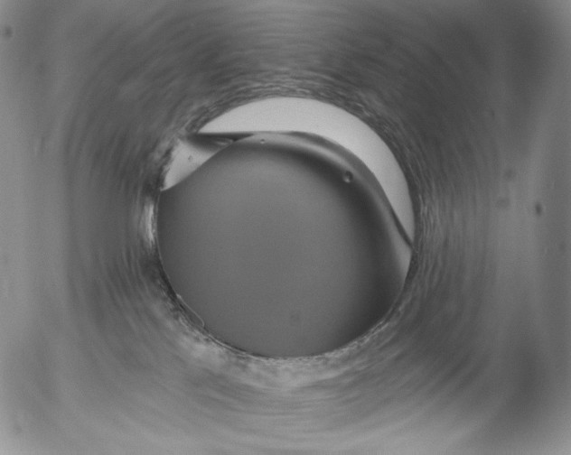 X0000052980041200507291603